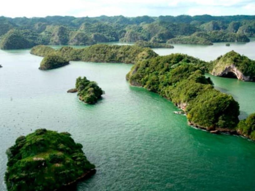 Los Haitises National Park Excursion to do in Samana Dominican Republic